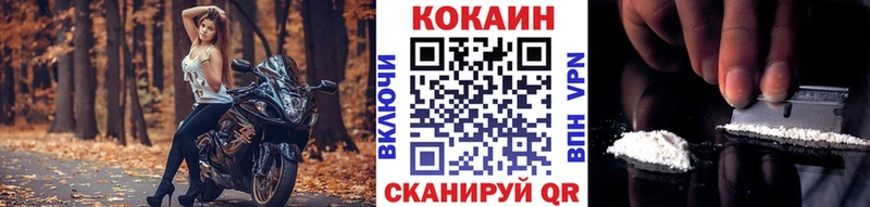 Купить закладки  Тюмень  Cocaine Эквадор 