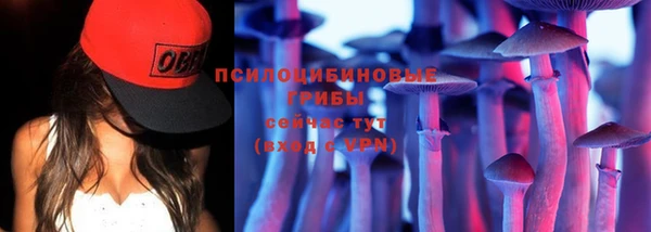 дурь Алексеевка