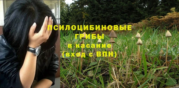 spice Алексин